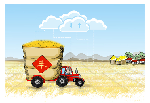 &ldquo;中原糧倉&rdquo;麥收新觀察