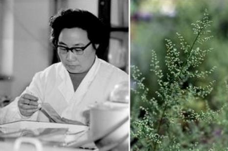 3000萬病例歸零&mdash;&mdash;中國獲世衛(wèi)組織&ldquo;無瘧疾國家&rdquo;認(rèn)證 全球抗瘧形勢依然嚴(yán)峻