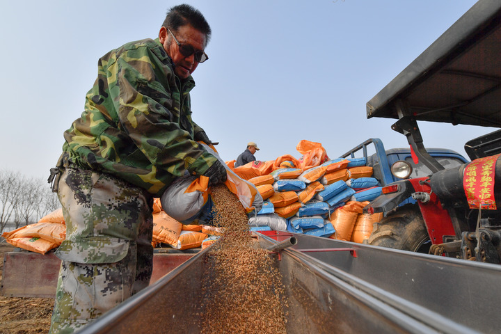 &ldquo;三無(wú)&rdquo;麥種亂象調(diào)查后續(xù)：安徽排查&ldquo;三無(wú)&rdquo;麥種8.6萬(wàn)余公斤　已立案32起