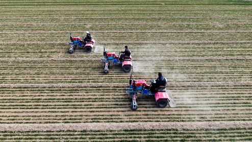 小麥管得怎樣？種子有無(wú)保障？農(nóng)機(jī)夠用嗎？