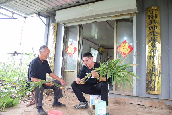 山東泰安&ldquo;五鄉(xiāng)行動&rdquo;構筑鄉(xiāng)村振興人才高地