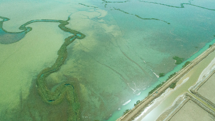 鹽湖股份書(shū)寫(xiě)&ldquo;綠色答卷&rdquo;