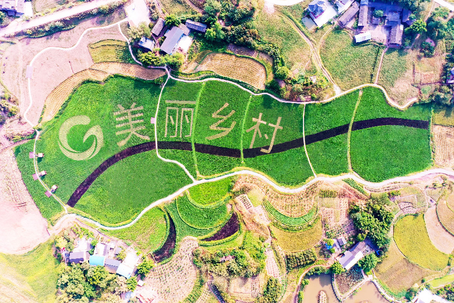 讓鄉(xiāng)村&ldquo;既有看頭又有賺頭&rdquo;&mdash;&mdash;一家央企的&ldquo;重農(nóng)興旅&rdquo;實(shí)踐