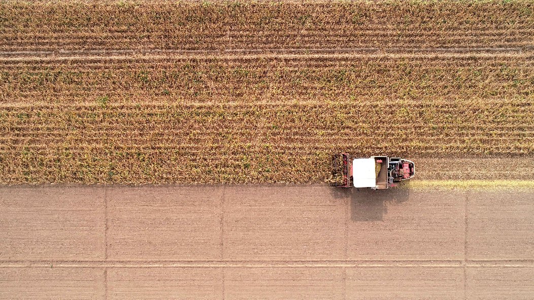 小糧庫(kù)大&ldquo;蠹蟲&rdquo;：糧食購(gòu)銷貪腐為何頻頻得手？