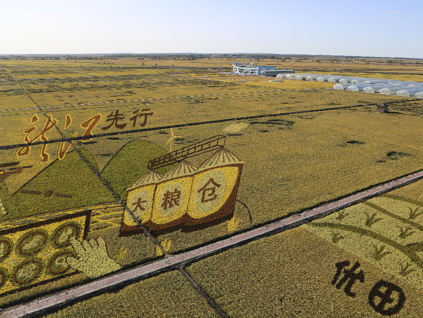 北大荒的高產(chǎn)是怎樣&ldquo;煉成&rdquo;的