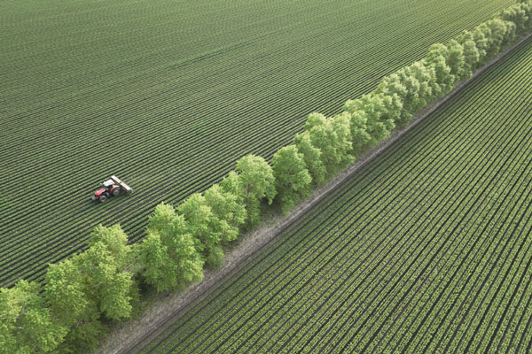 &ldquo;糧倉&rdquo;黑龍江：黑土地加強(qiáng)保護(hù)　農(nóng)田提檔升級