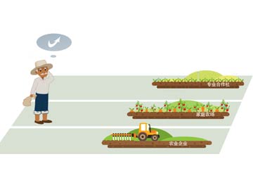 套補(bǔ)貼、無(wú)運(yùn)作&ldquo;空殼合作社&rdquo;頻現(xiàn)