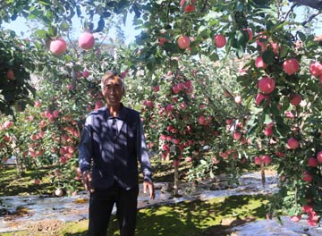 &ldquo;好的不多多的不好&rdquo;困擾蘋果產(chǎn)業(yè)