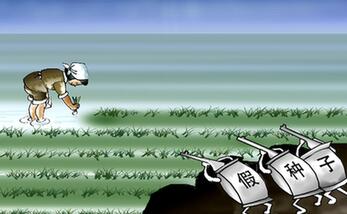 由明轉暗　假劣種子打起&ldquo;游擊戰(zhàn)&rdquo;