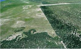 部分草原保護(hù)項(xiàng)目竟變&ldquo;生態(tài)殺手&rdquo;