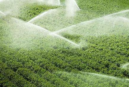 人水矛盾結(jié)苦果：多省區(qū)地下水超采形成&ldquo;漏斗區(qū)&rdquo;