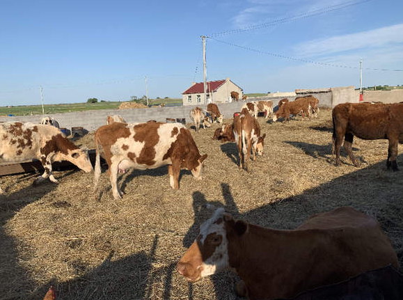 &ldquo;新調(diào)整&rdquo;能否終結(jié)自然保護區(qū)亂象？