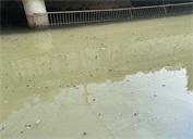 湖北鐘祥：對中央環(huán)保督察重點(diǎn)交辦件&ldquo;虛整改&rdquo;&ldquo;真銷號&rdquo;